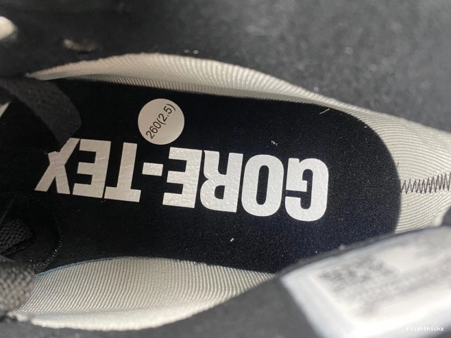 Jordan Gore-Tex Air Element 1 DB2889-500 0724